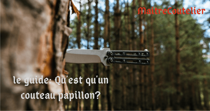 Qu'est qu'un couteau papillon ?