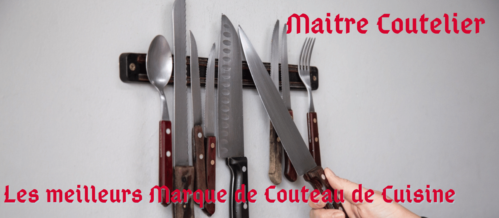 Coutequ Les meilleurs Marque de Couteau de Cuisine – MaitreCoutelier®