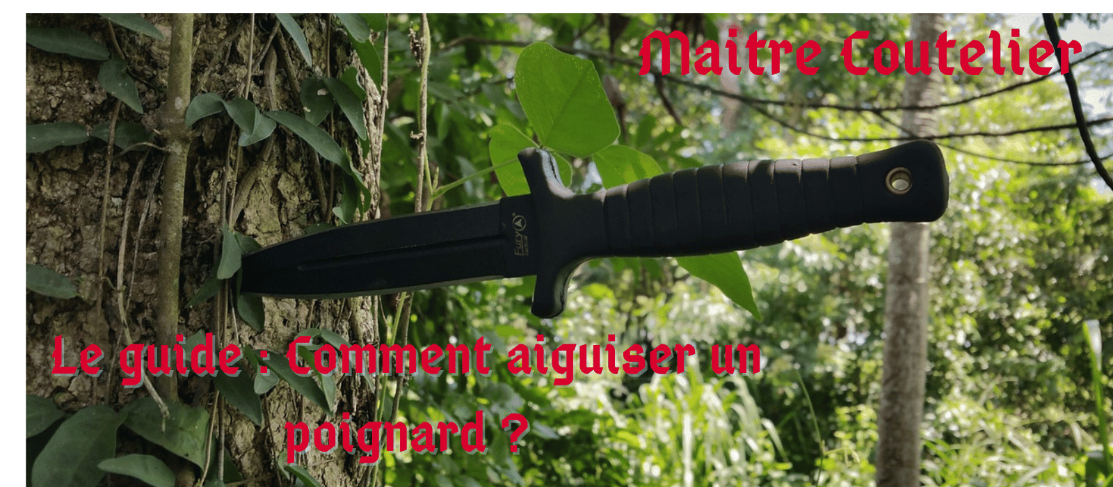 Le guide : Comment aiguiser un poignard ? Image