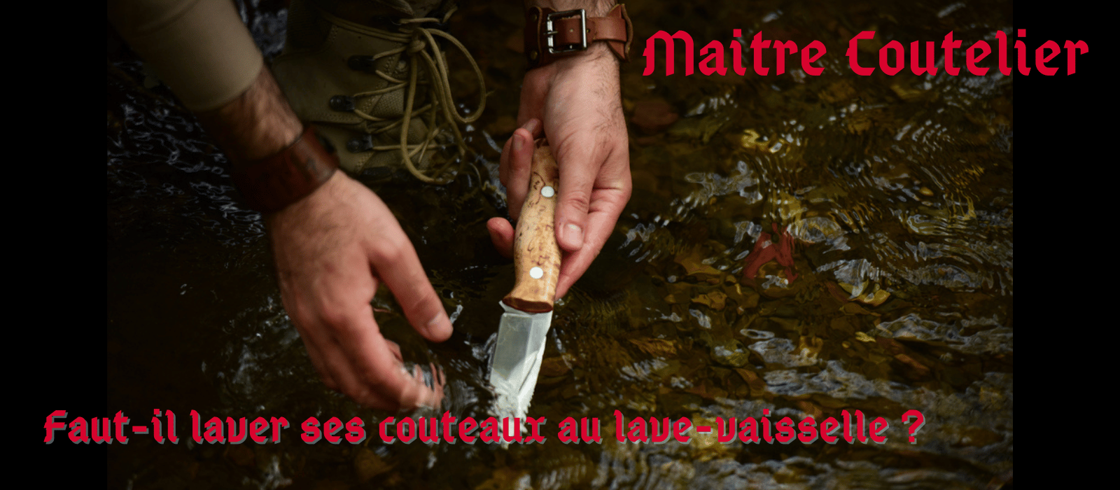 Faut-il laver ses couteaux au lave-vaisselle ?