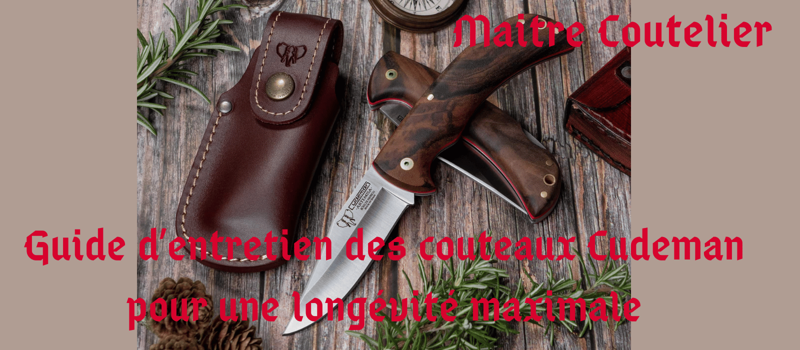 Guide d’entretien des couteaux Cudeman pour une longévité maximale Image