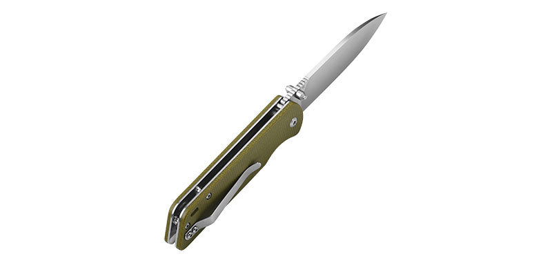 Couteau Parrot Vert clair QSP