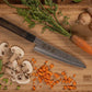 Couteau de Cuisine DENSHO Gyuto Kotai
