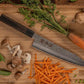 Couteau de Cuisine Japonais DENSHO Gyuto Kotai