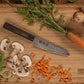 Couteau de Cuisine Petty DENSHO Kotai