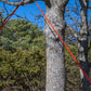 Kit Nordic Pocket Saw Arborist V.2 Orange/Noire