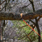 Kit Nordic Pocket Saw Arborist V.2 Orange/Noire